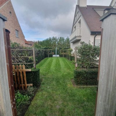 74323998_2464529946989139_1277986966536716288_n